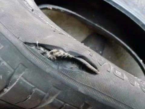 What Causes a Tyre Bulge